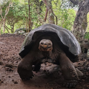 San Cristobal Highlands Tour - Galatlastours